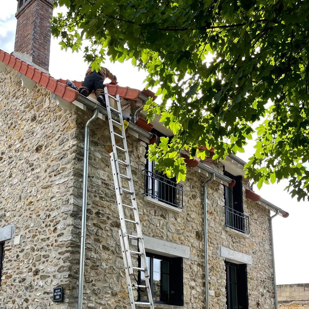 Technicien Essonne Nuisibles en intervention